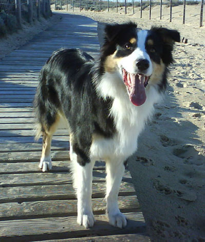 Athos lov' du Pays aux Longs Hivers